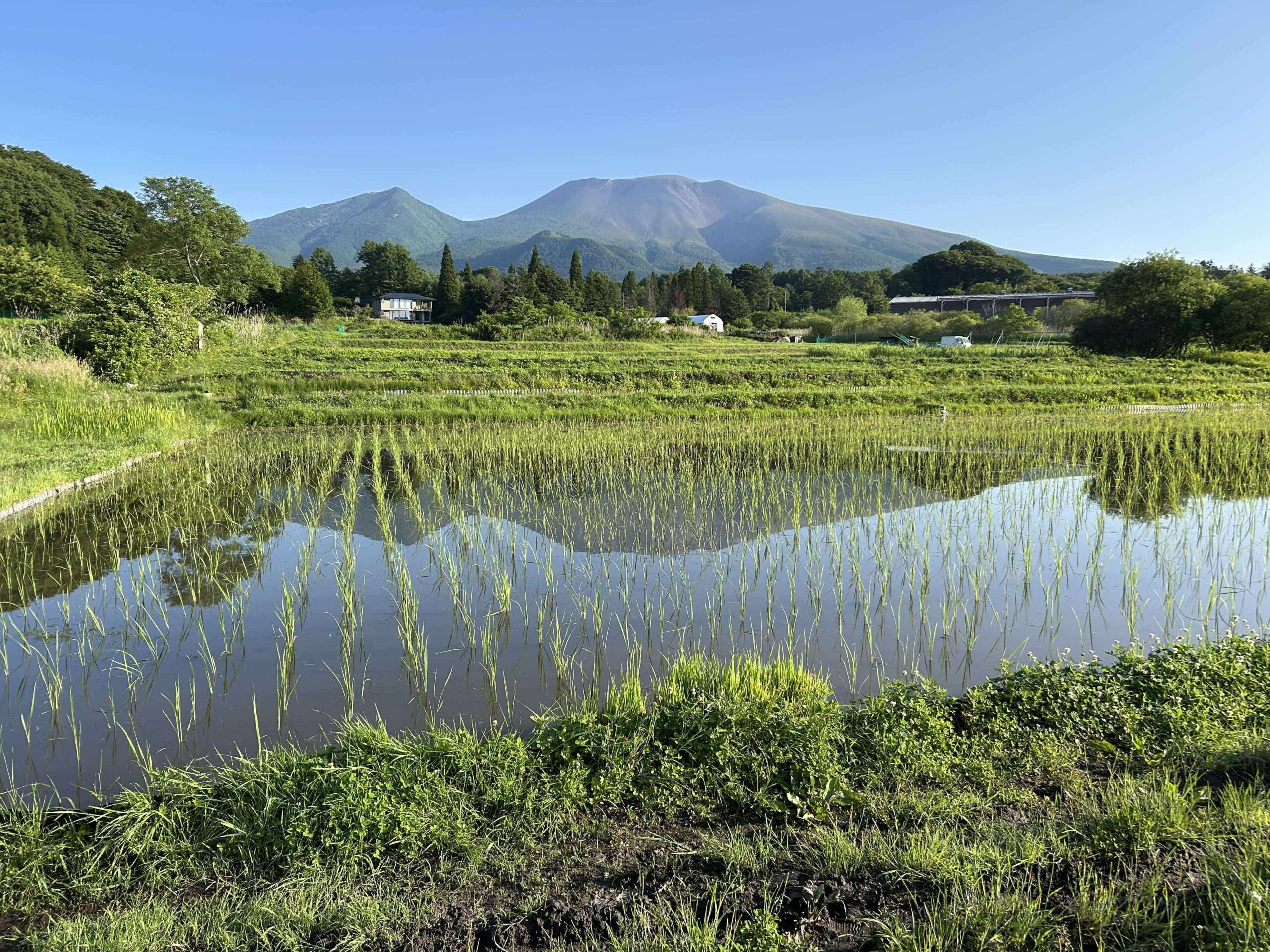 軽井沢・追分から見た浅間山